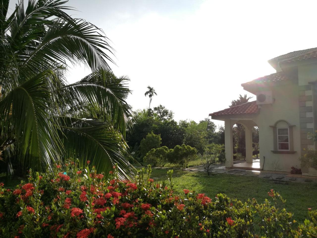 Guesthouse Dragon Place تايبينغ المظهر الخارجي الصورة